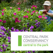 Accolades for Central Park Conservancy app