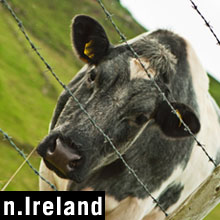 Northern Ireland